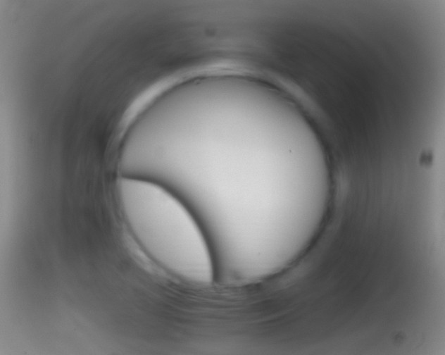X0000114391413200910161021