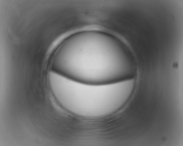 X0000114391414200910161021