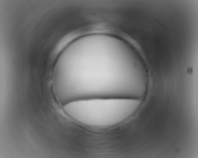 X0000114391415200910161021