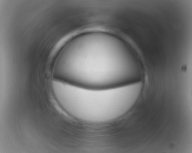 X0000114391416200910161021