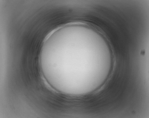 X0000114391417200910161021