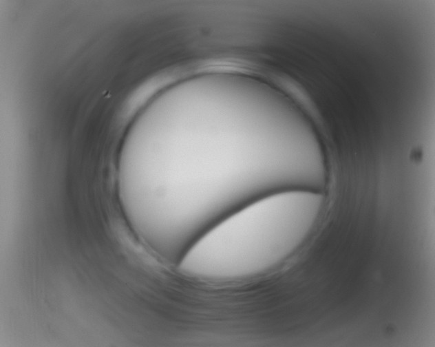 X0000114391419200910161021