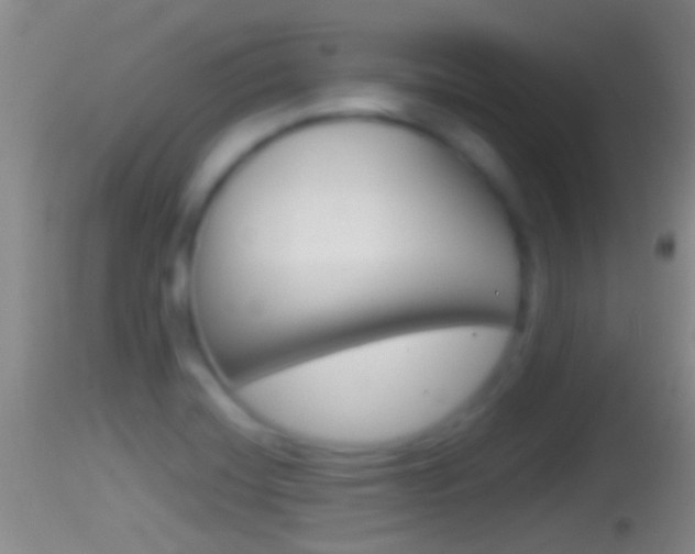 X0000114391420200910161021