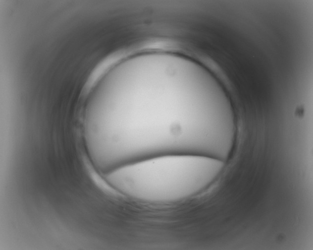 X0000114391421200910161021
