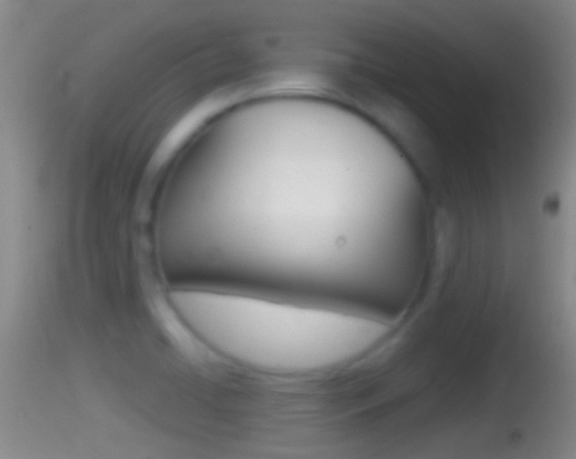 X0000114391422200910161021