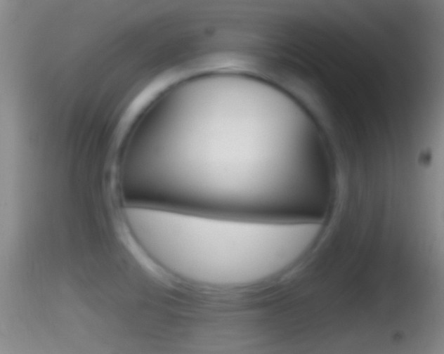 X0000114391424200910161021