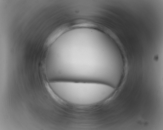 X0000114391425200910161021