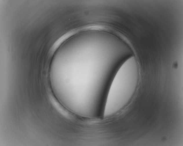 X0000114391426200910161021