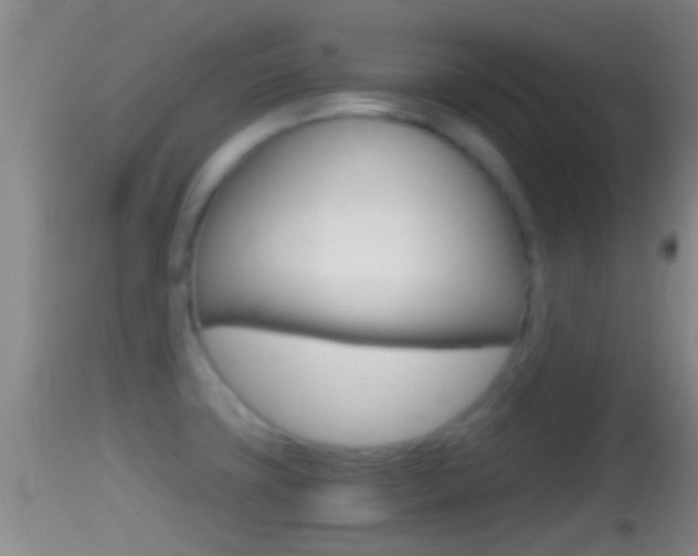 X0000114391427200910161021