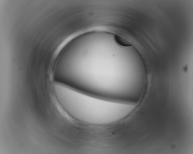 X0000114391428200910161021