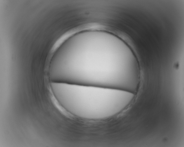 X0000114391429200910161021