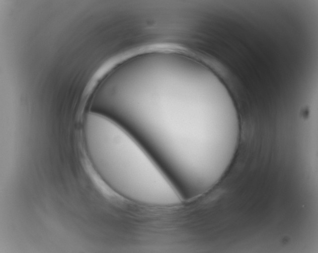 X0000114391430200910161021