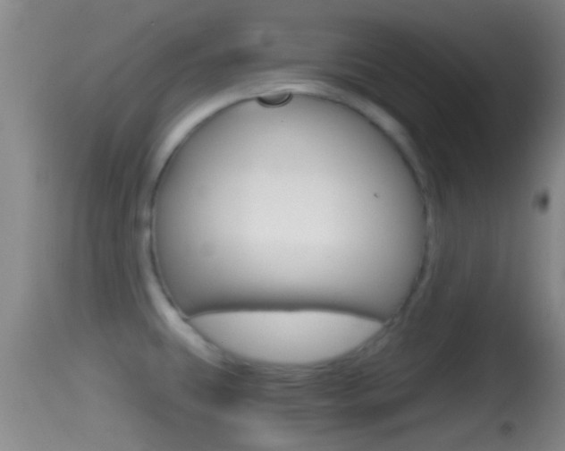 X0000114391431200910161021