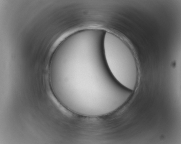 X0000114391432200910161021