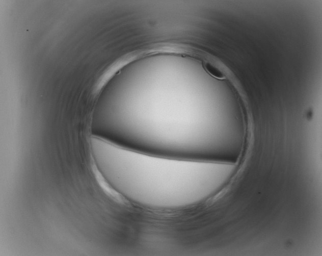 X0000114391433200910161021