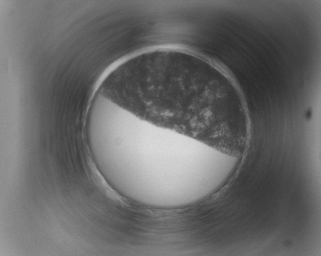 X0000114391436200910161021