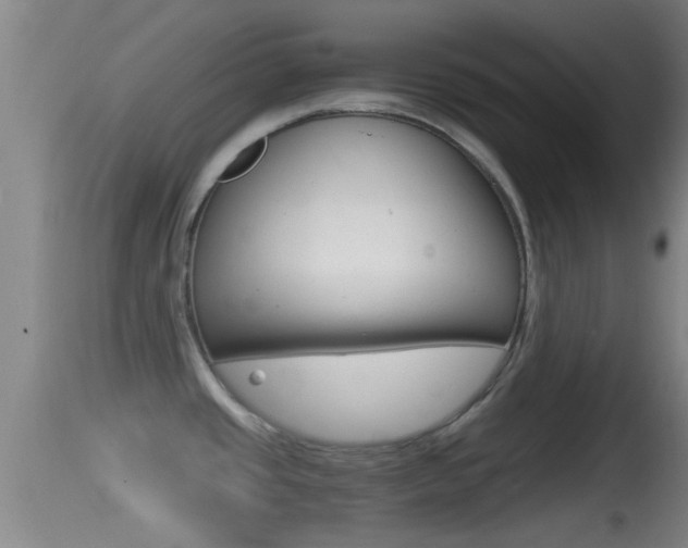 X0000114391437200910161021