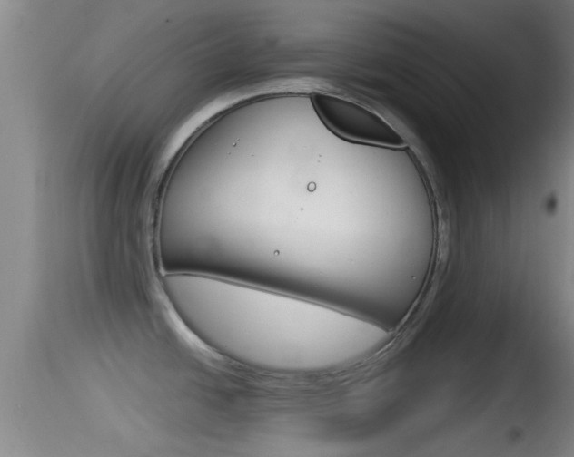 X0000114391438200910161021