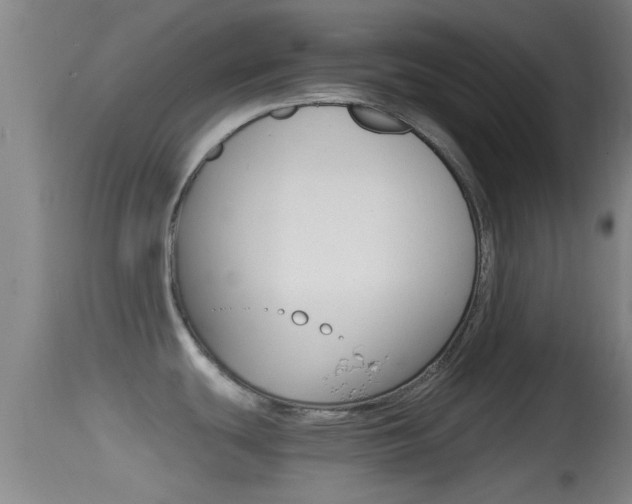 X0000114391439200910161021