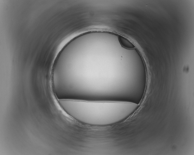 X0000114391440200910161021
