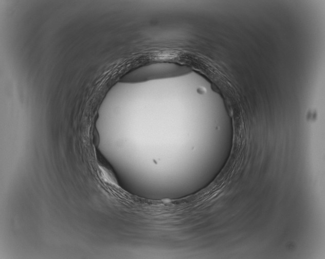 X0000114391441200910161020