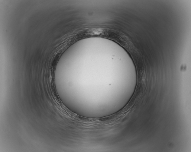 X0000114391442200910161020