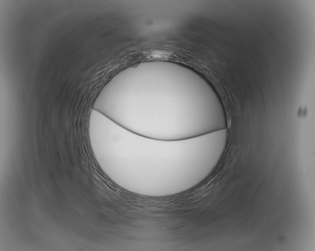 X0000114391443200910161020