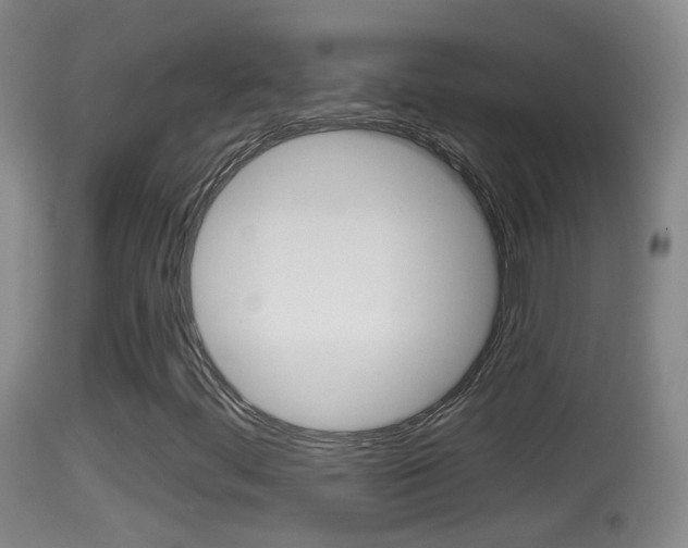 X0000114391444200910161020