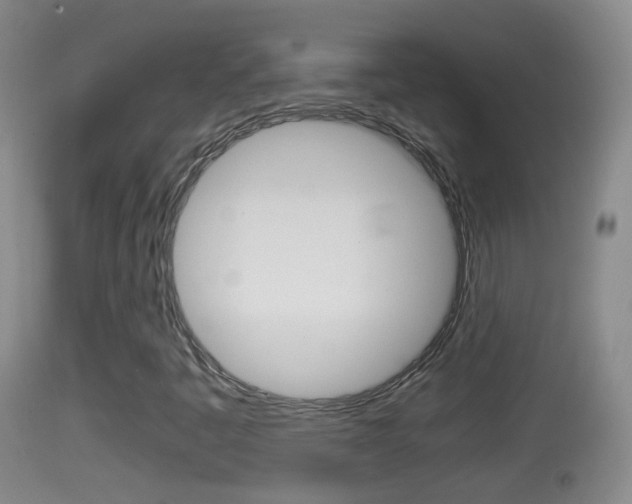 X0000114391445200910161020