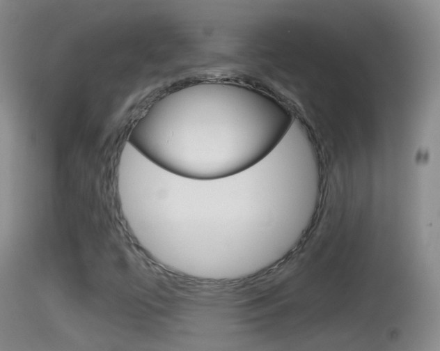 X0000114391447200910161020