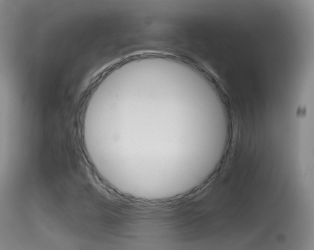 X0000114391448200910161020