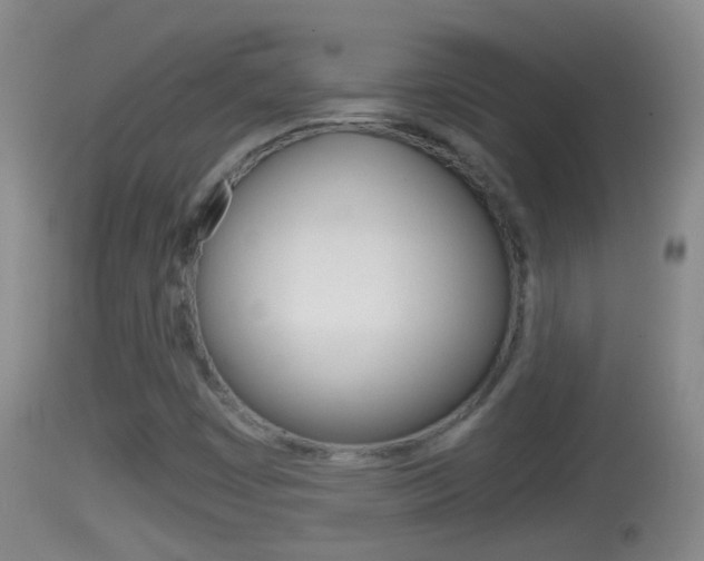 X0000114391449200910161020