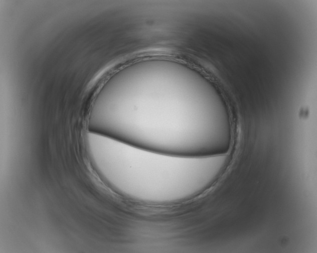 X0000114391450200910161020
