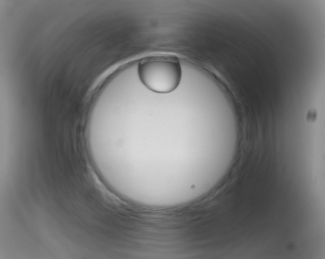 X0000114391452200910161020