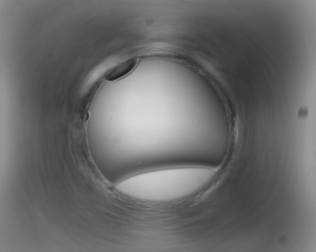 X0000114391453200910161020