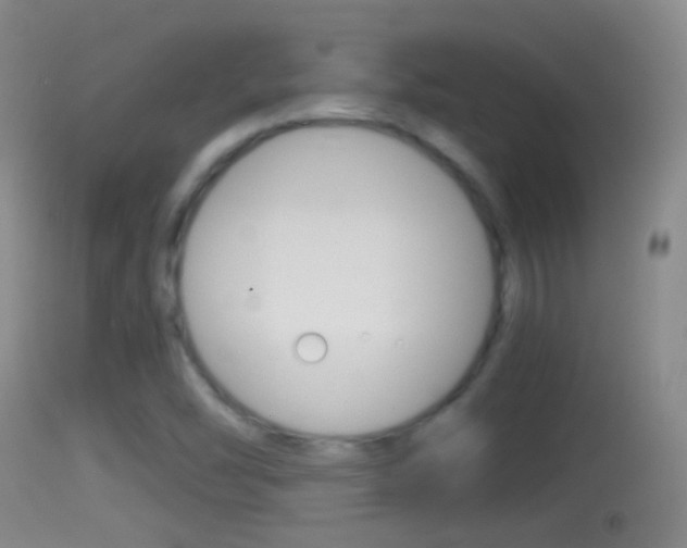 X0000114391454200910161020