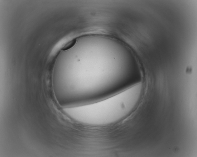 X0000114391455200910161020