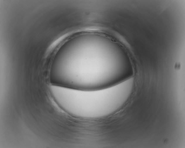 X0000114391456200910161020