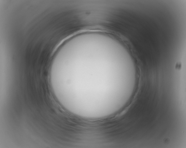 X0000114391457200910161020