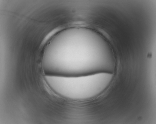 X0000114391458200910161020