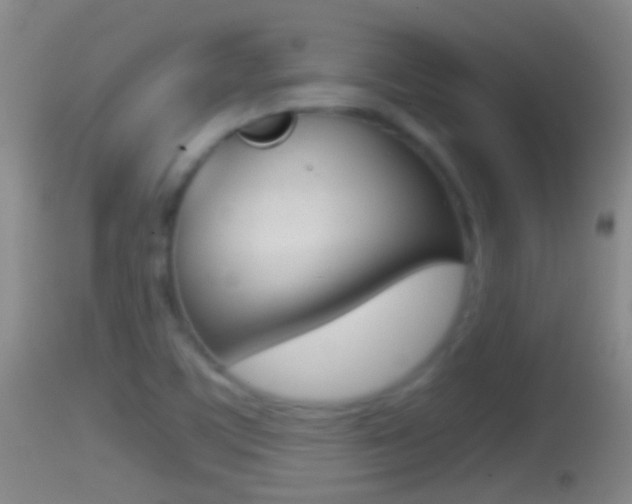 X0000114391459200910161020