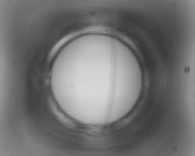 X0000114391462200910161020