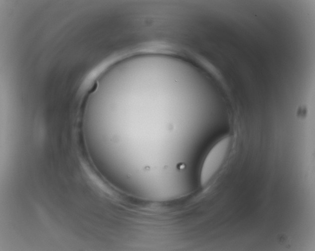 X0000114391463200910161020