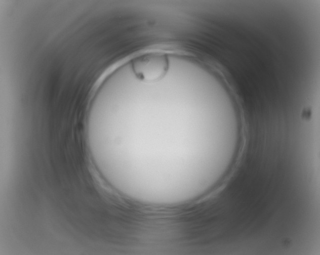 X0000114391465200910161020
