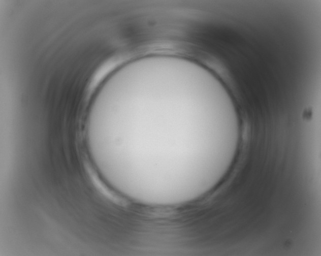 X0000114391466200910161020
