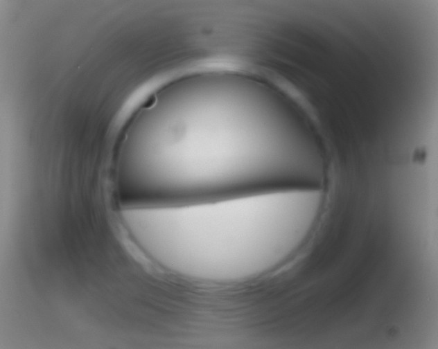 X0000114391469200910161020