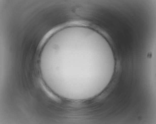 X0000114391470200910161020