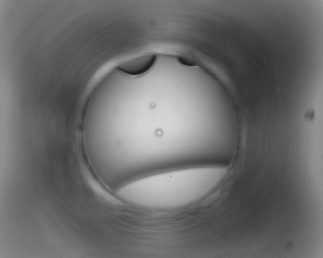 X0000114391471200910161020