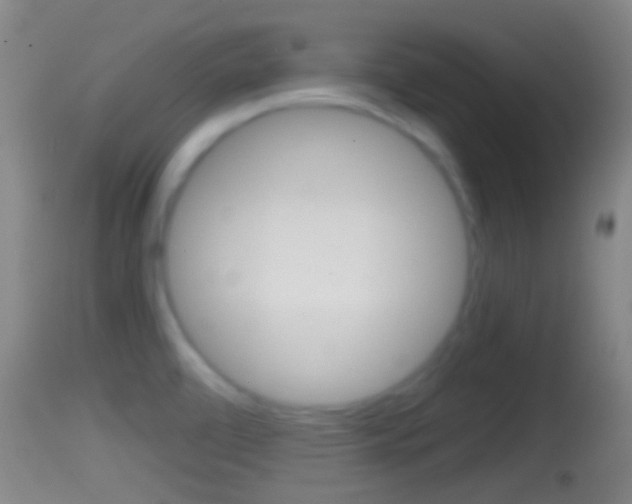 X0000114391472200910161020