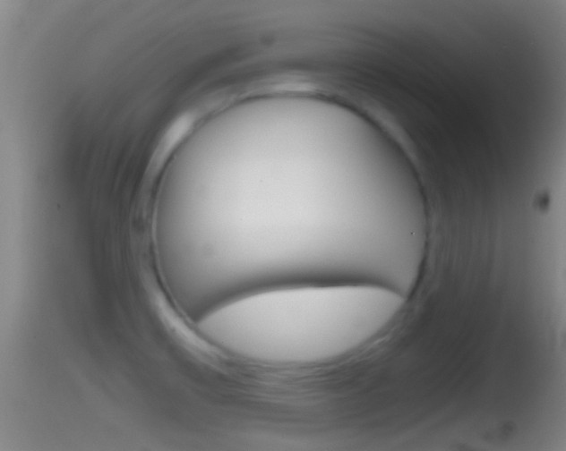 X0000114391475200910161020